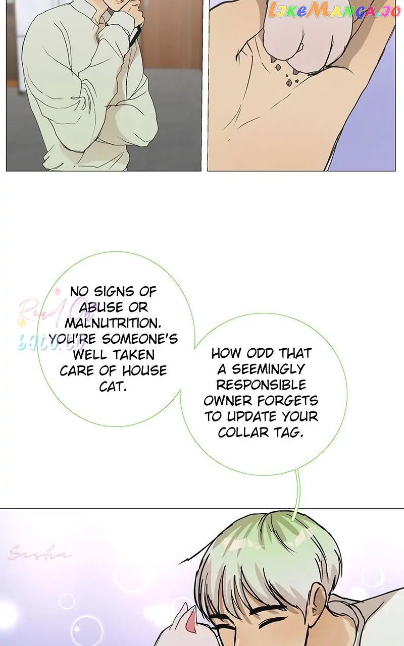 Freaking Romance Chapter 6 - page 18