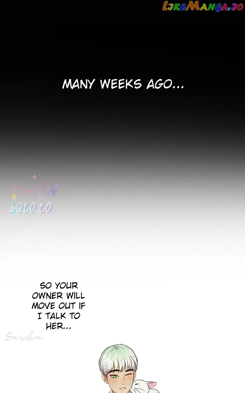 Freaking Romance Chapter 16 - page 1