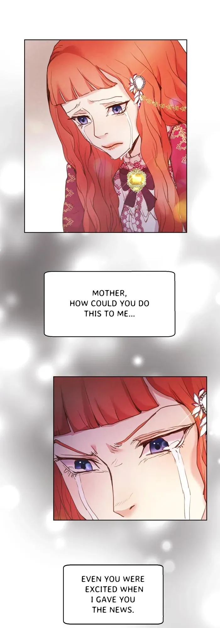 A Fake Princess’s Survival Diary chapter 25.5 - page 4
