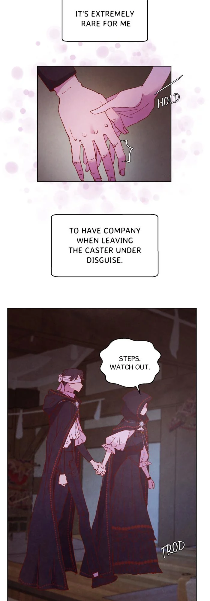 A Fake Princess’s Survival Diary chapter 26.5 - page 11
