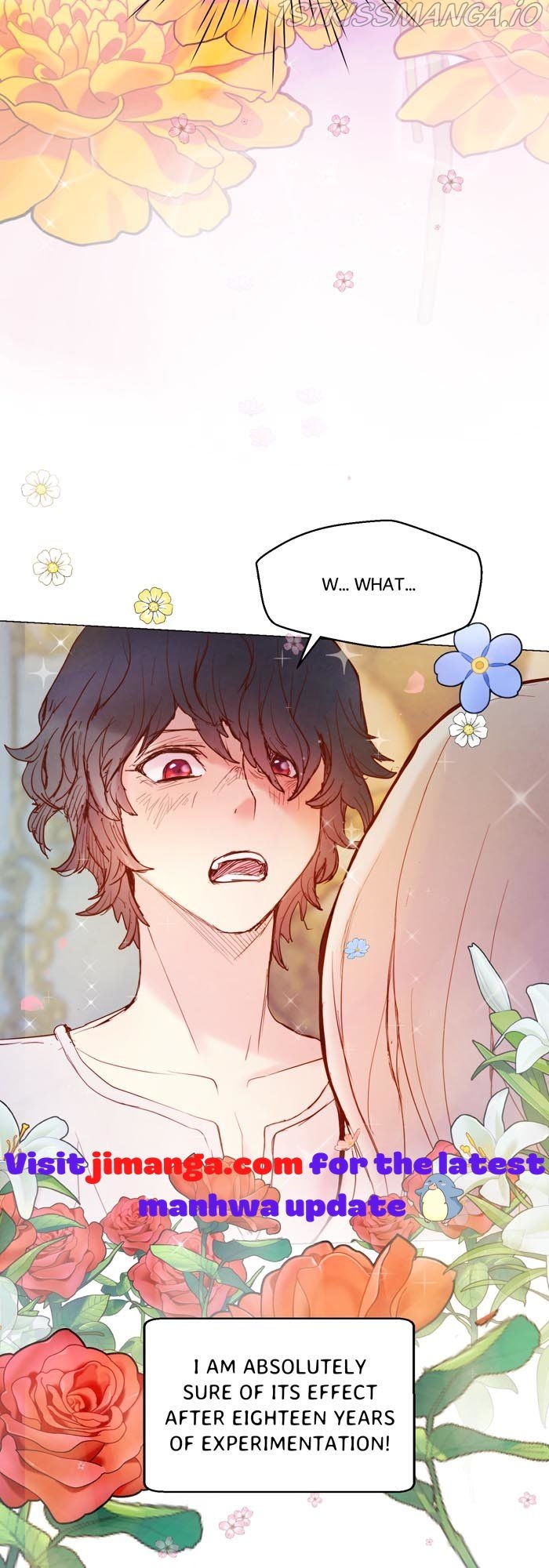 A Fake Princess’s Survival Diary chapter 3.5 - page 2