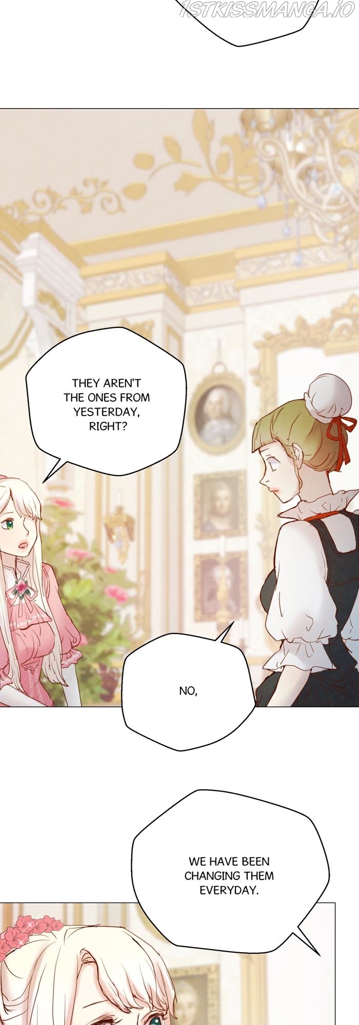 A Fake Princess’s Survival Diary chapter 4.5 - page 28