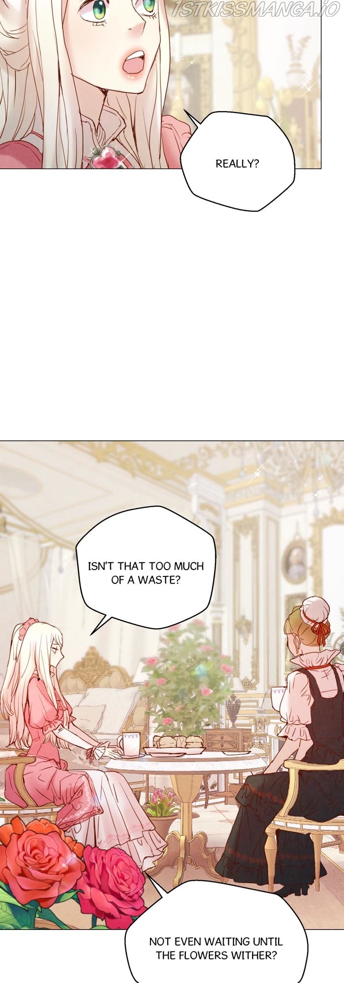 A Fake Princess’s Survival Diary chapter 4.5 - page 29