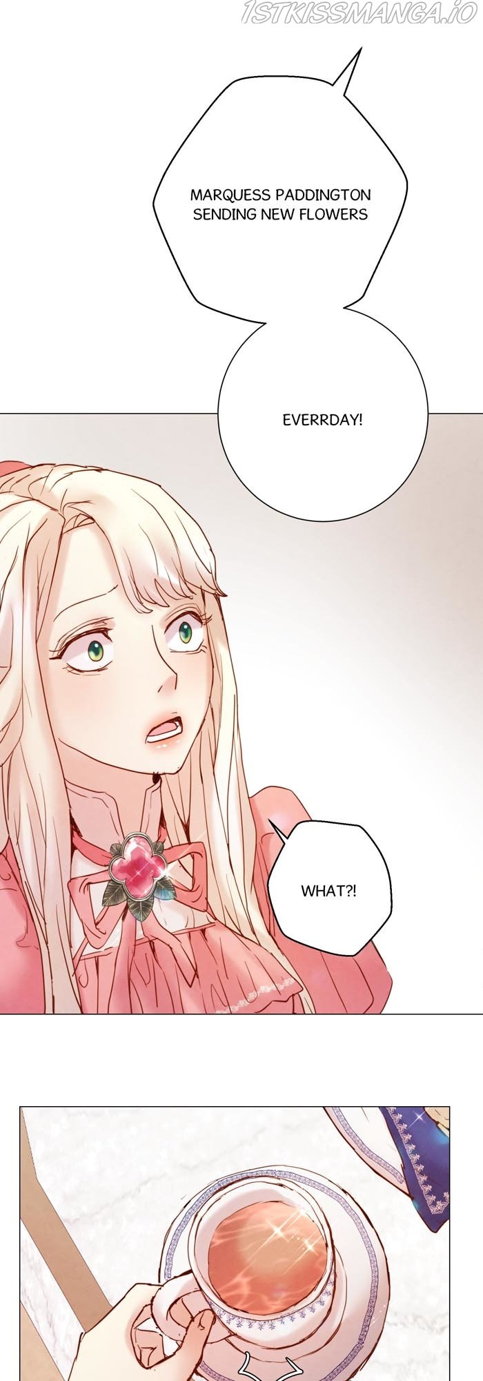 A Fake Princess’s Survival Diary chapter 4.5 - page 31