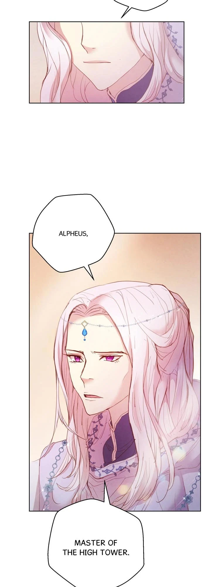 A Fake Princess’s Survival Diary chapter 21.5 - page 10