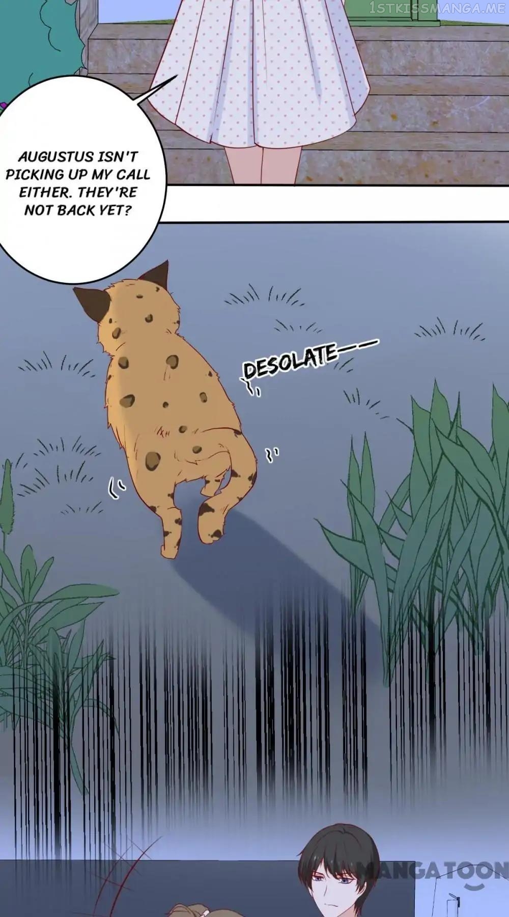 12 Evil Cats Chapter 30 - page 8