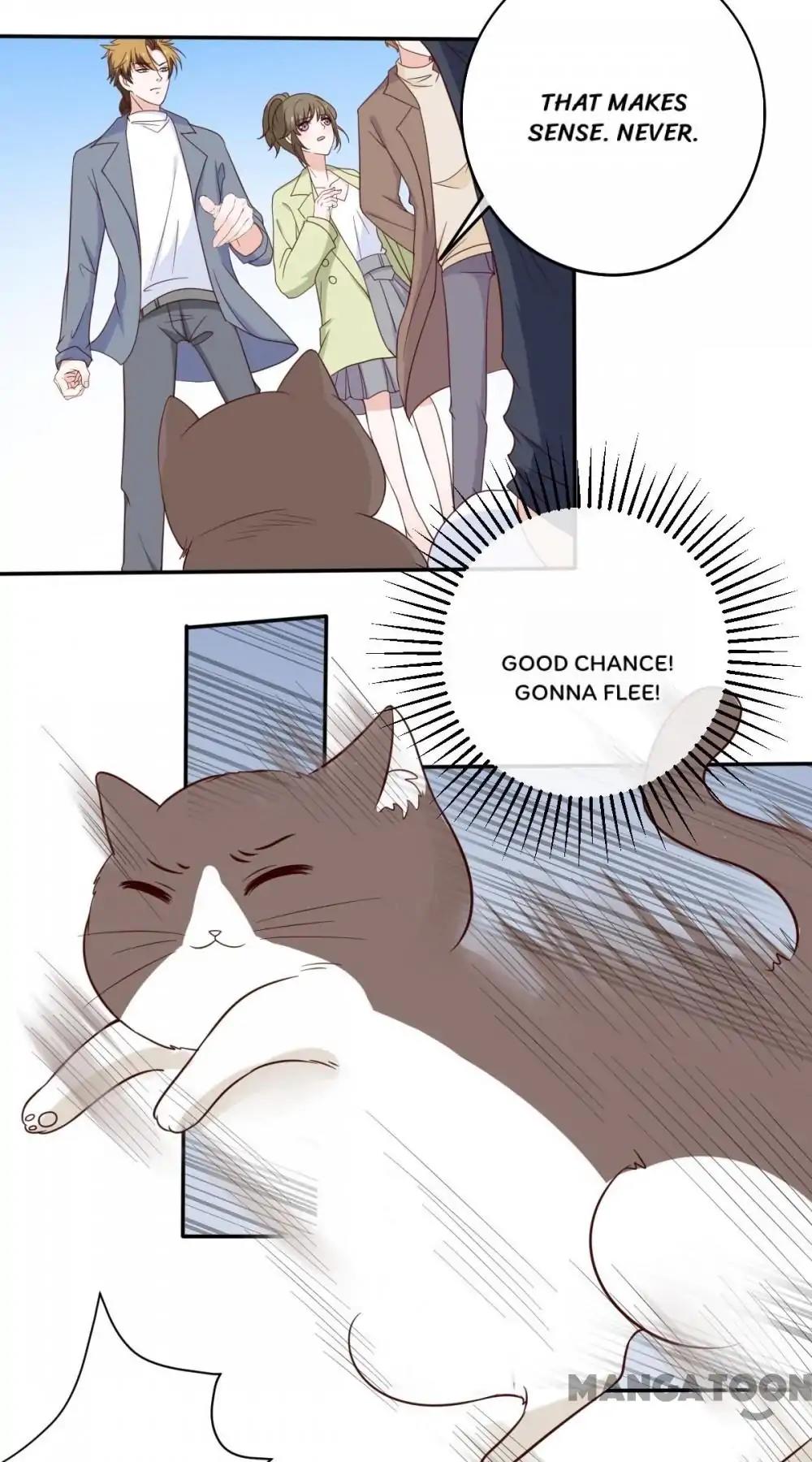 12 Evil Cats chapter 37 - page 2