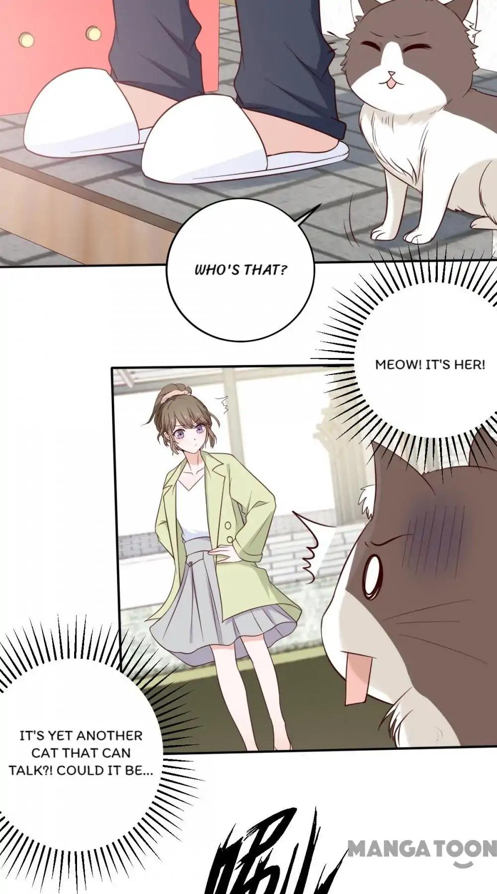 12 Evil Cats chapter 36 - page 23