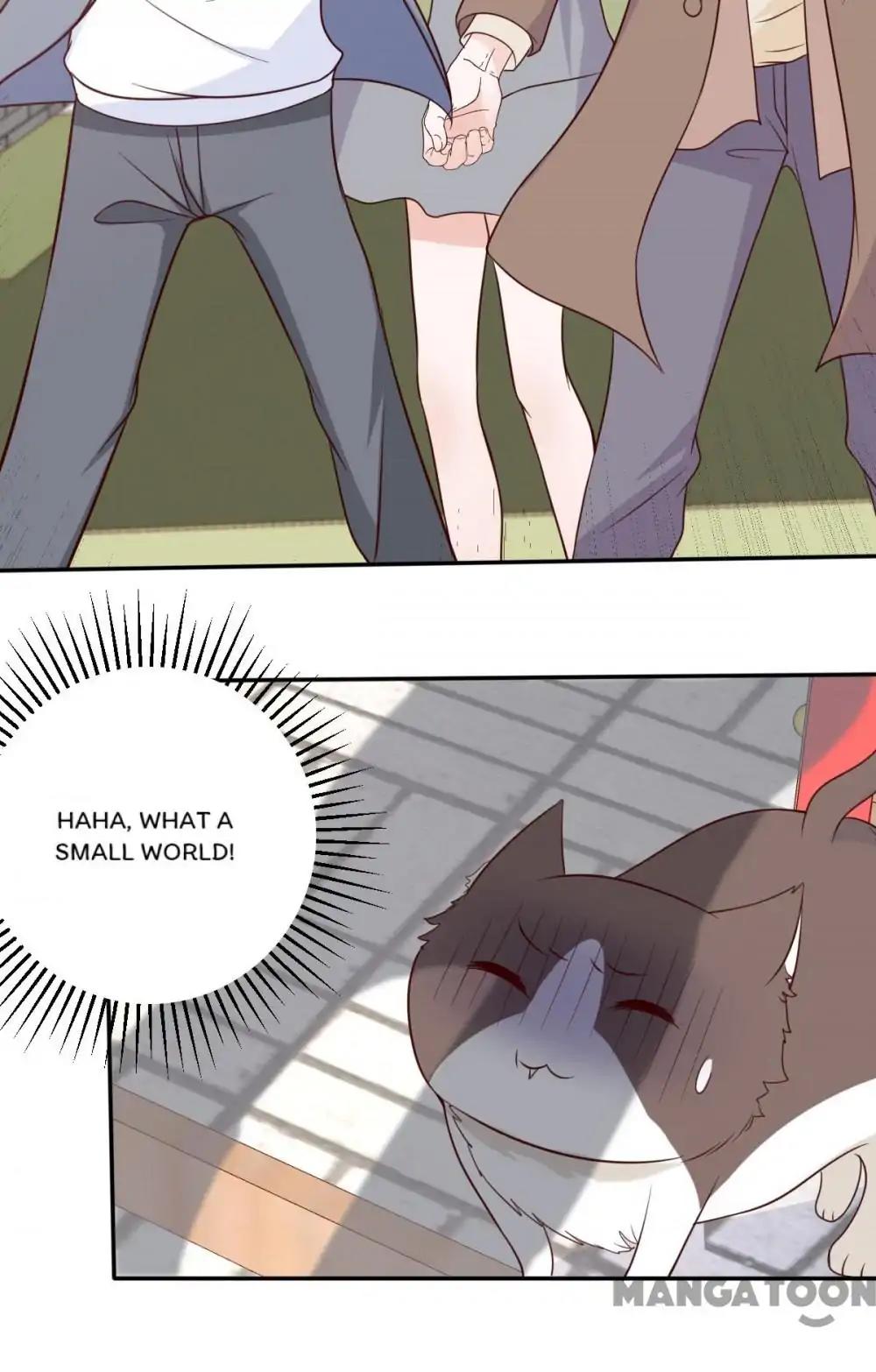 12 Evil Cats chapter 36 - page 25