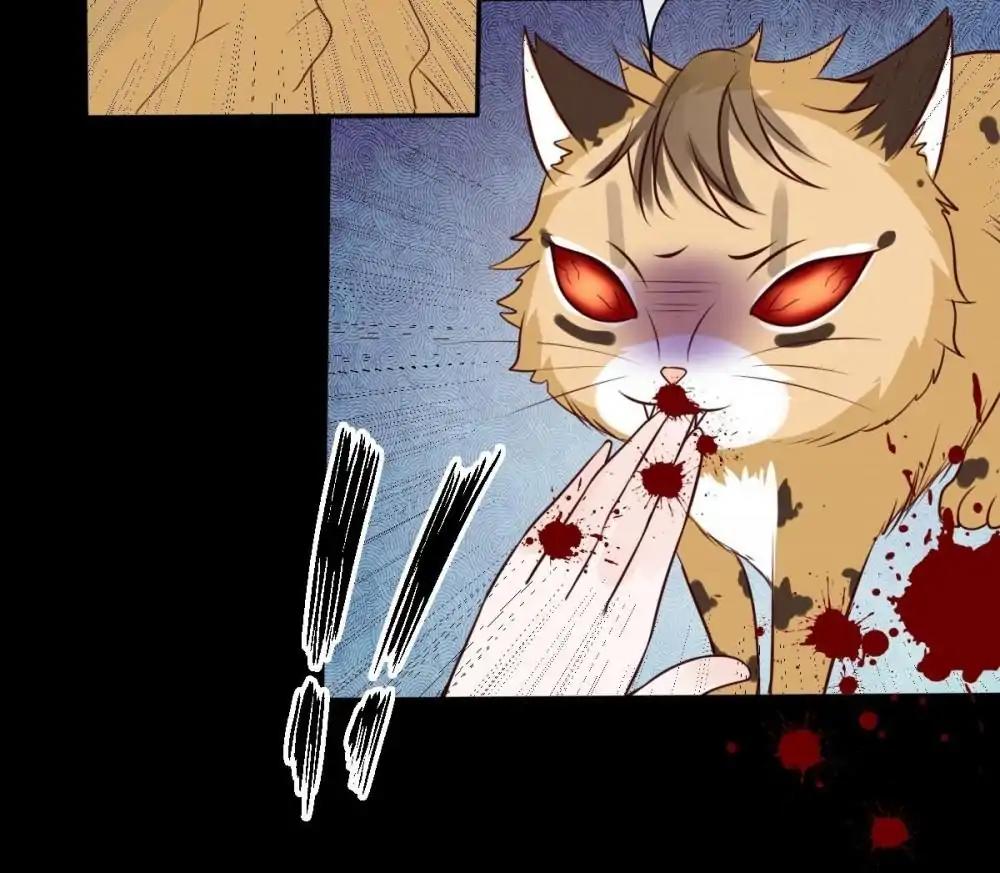 12 Evil Cats chapter 39 - page 8