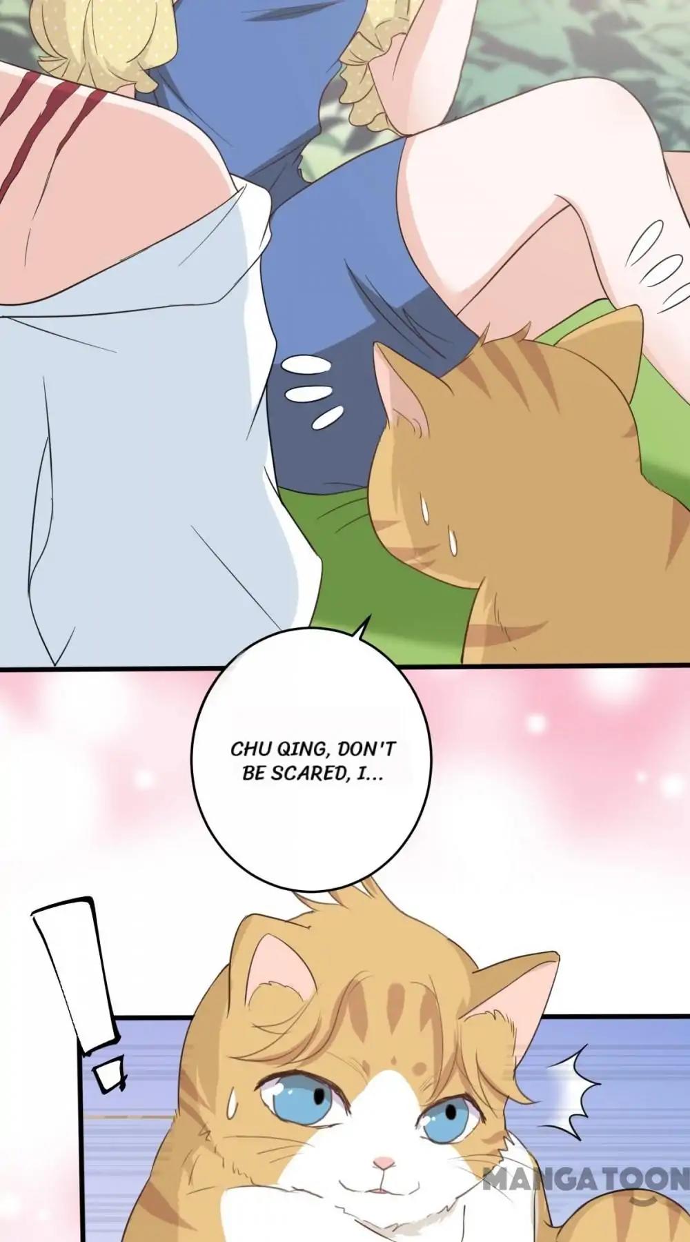 12 Evil Cats chapter 13 - page 22