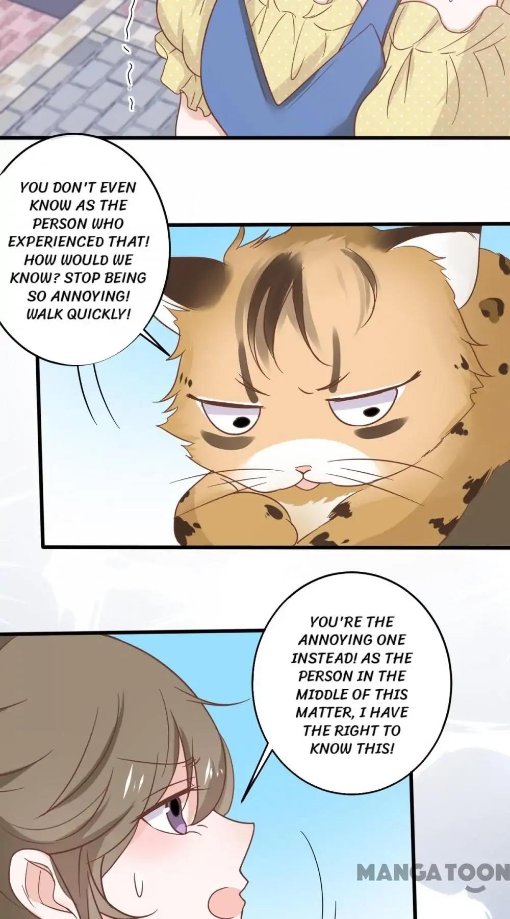 12 Evil Cats chapter 14 - page 18