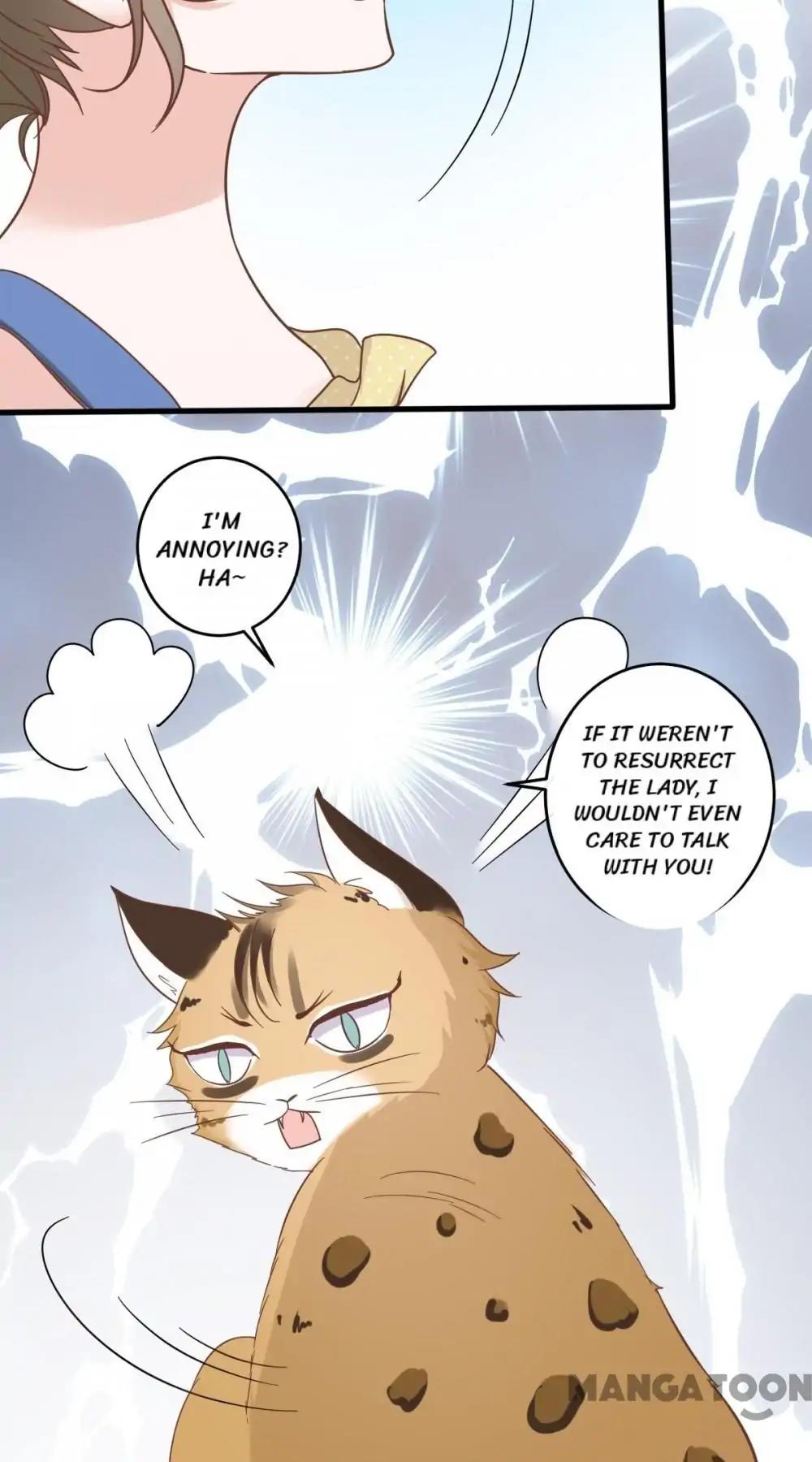 12 Evil Cats chapter 14 - page 19