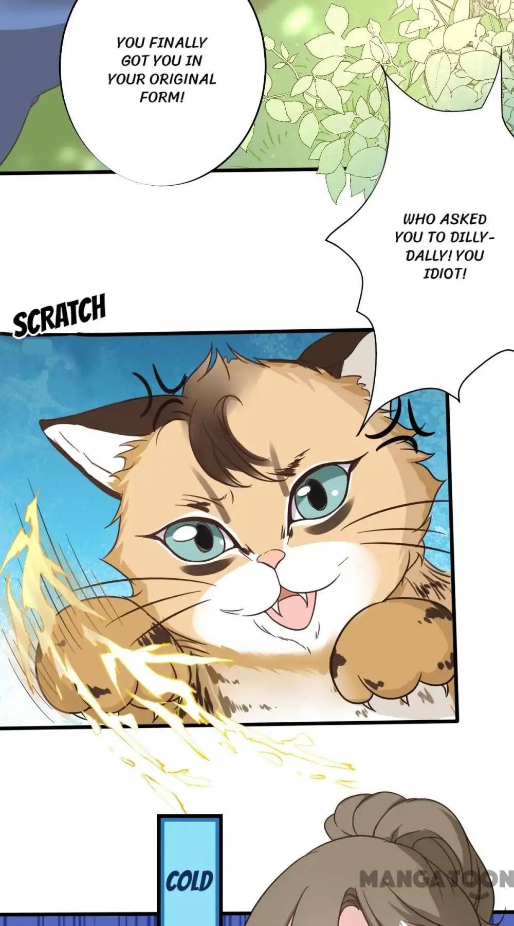 12 Evil Cats chapter 14 - page 2