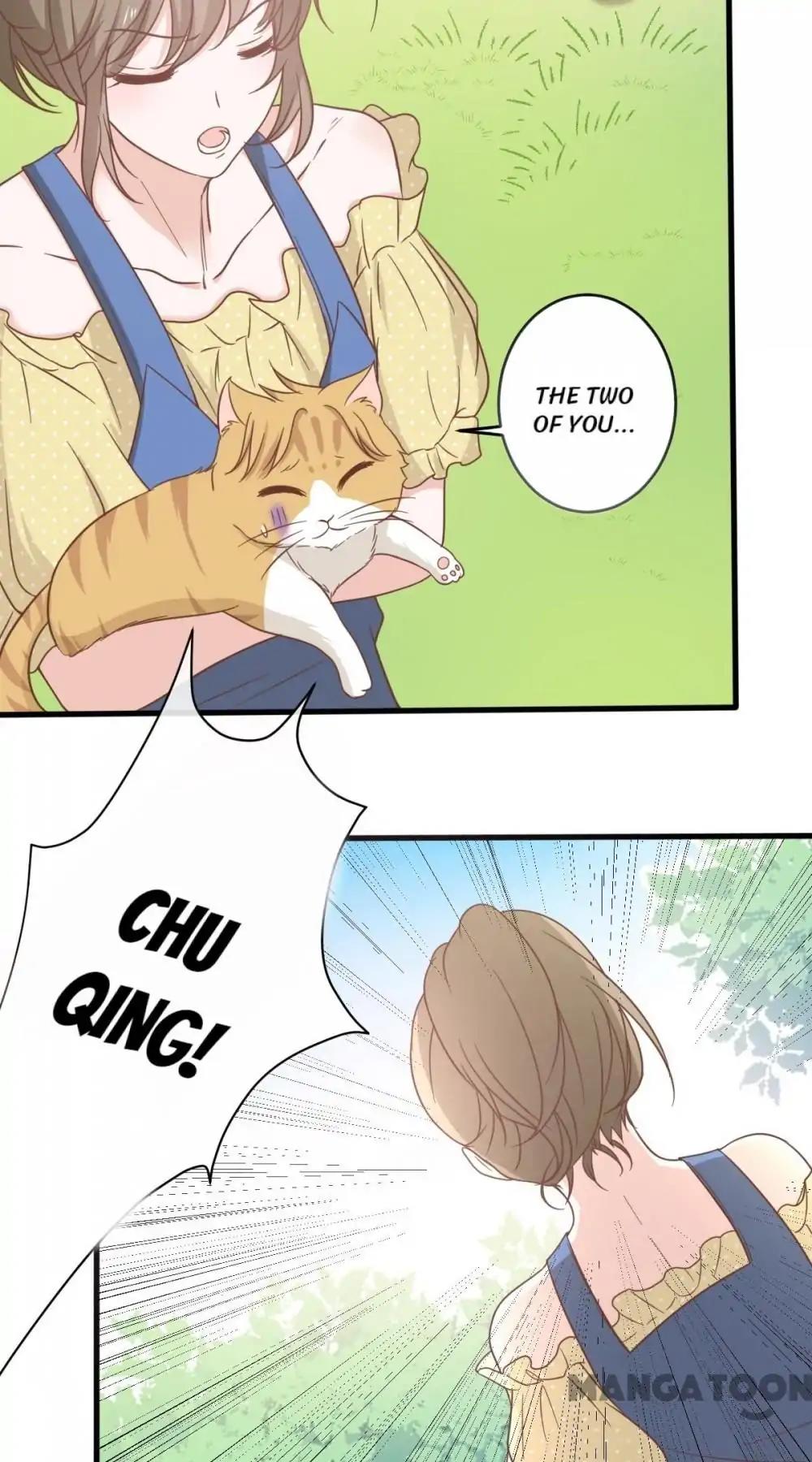 12 Evil Cats chapter 14 - page 4