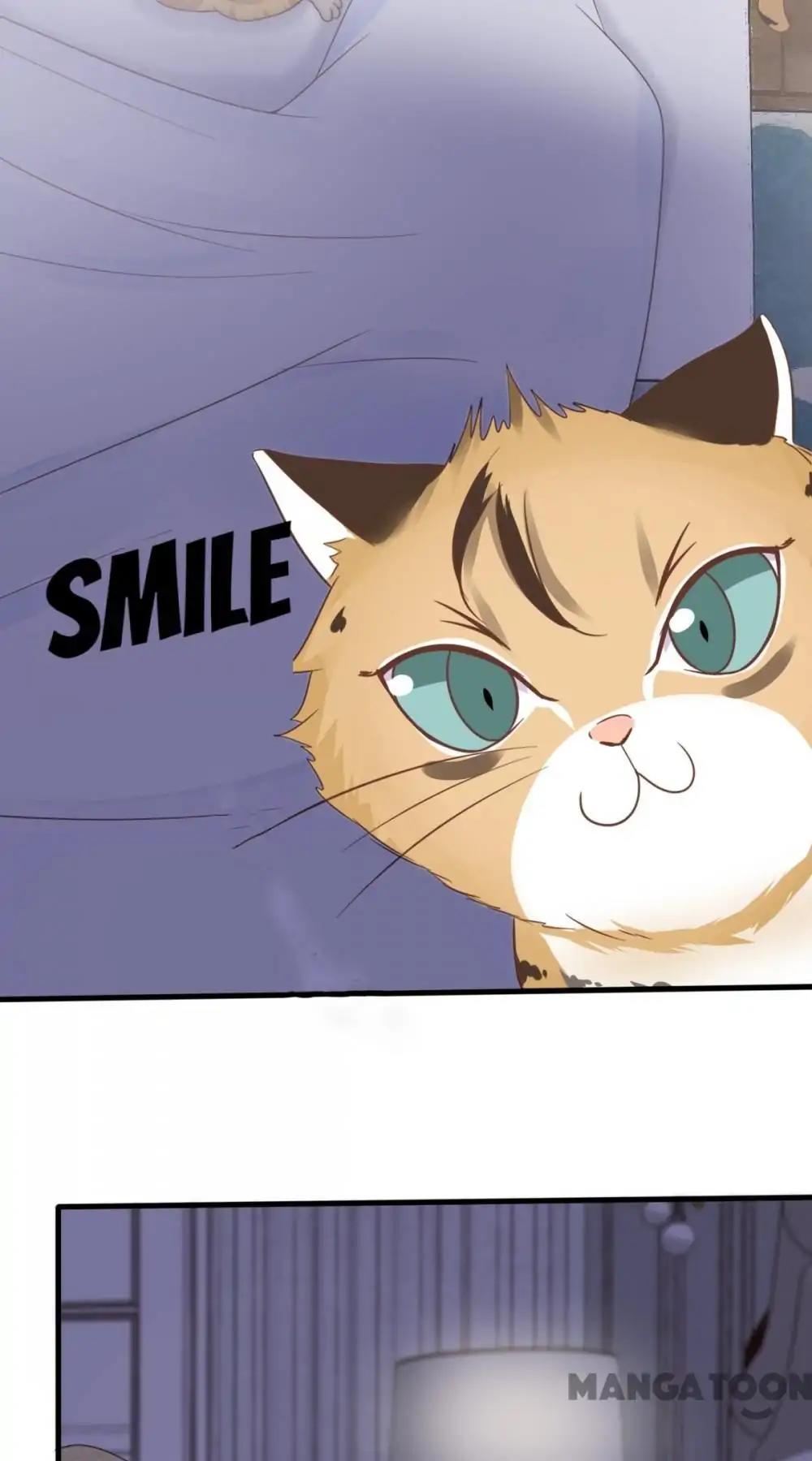 12 Evil Cats chapter 14 - page 46