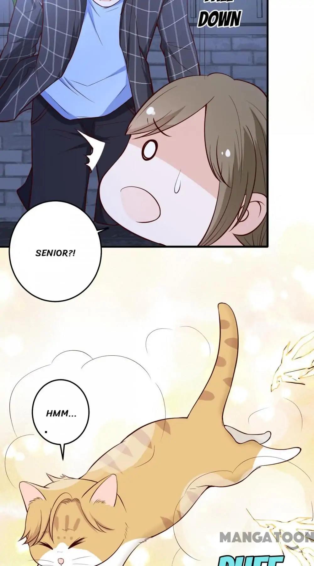 12 Evil Cats chapter 19 - page 2