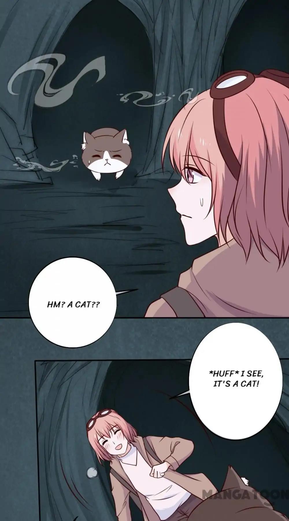 12 Evil Cats chapter 43 - page 6