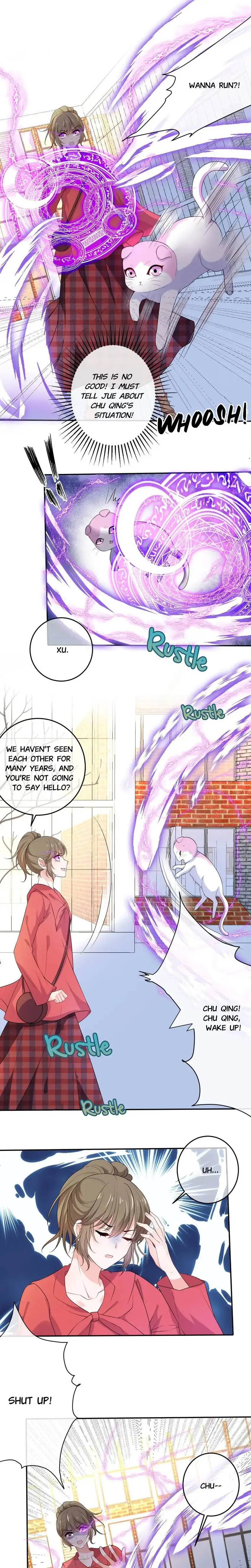 12 Evil Cats Chapter 72 - page 1