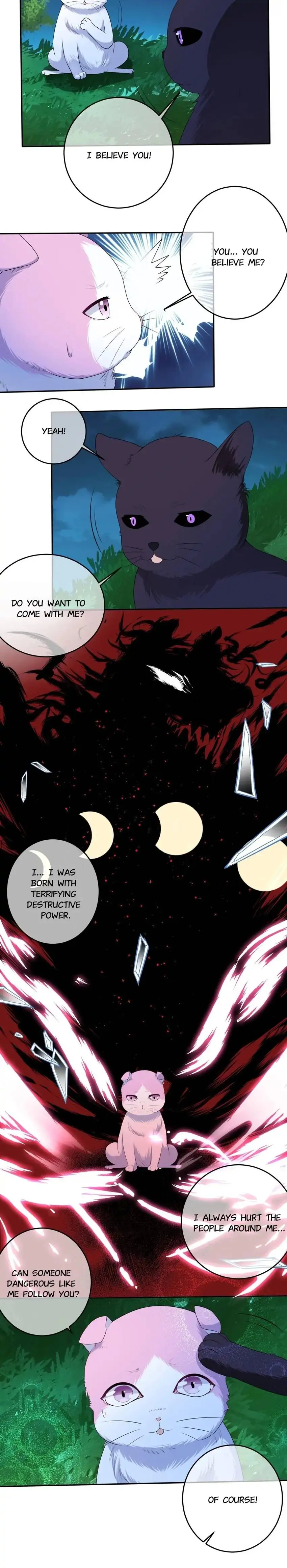 12 Evil Cats Chapter 70 - page 14