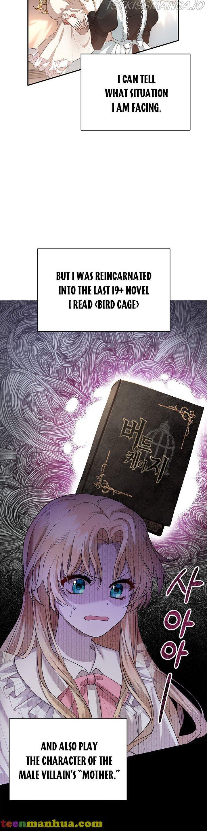 Elissa's Whirlwind Marriage Chapter 1 - page 21