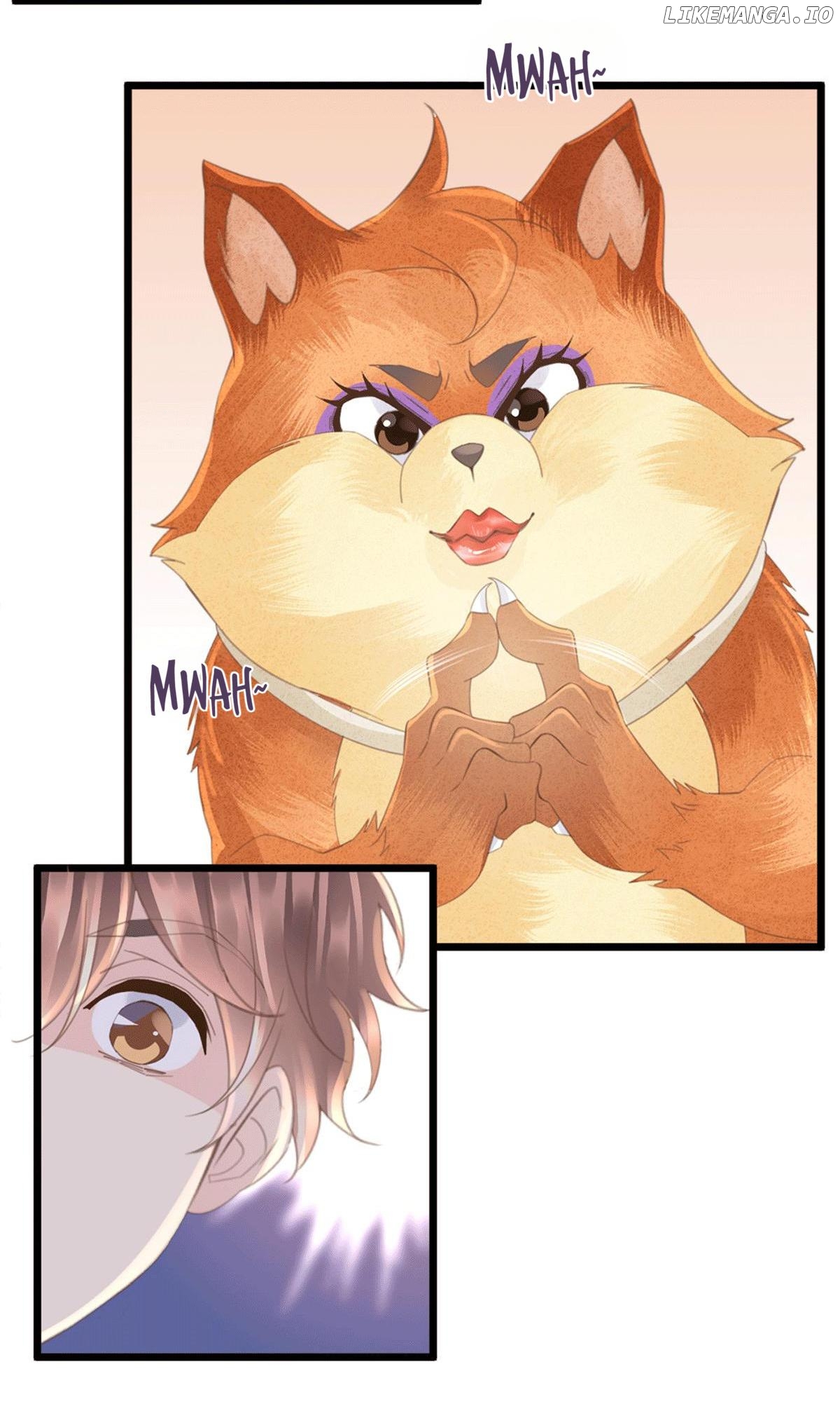 Ancient House Strategy Chapter 39 - page 3