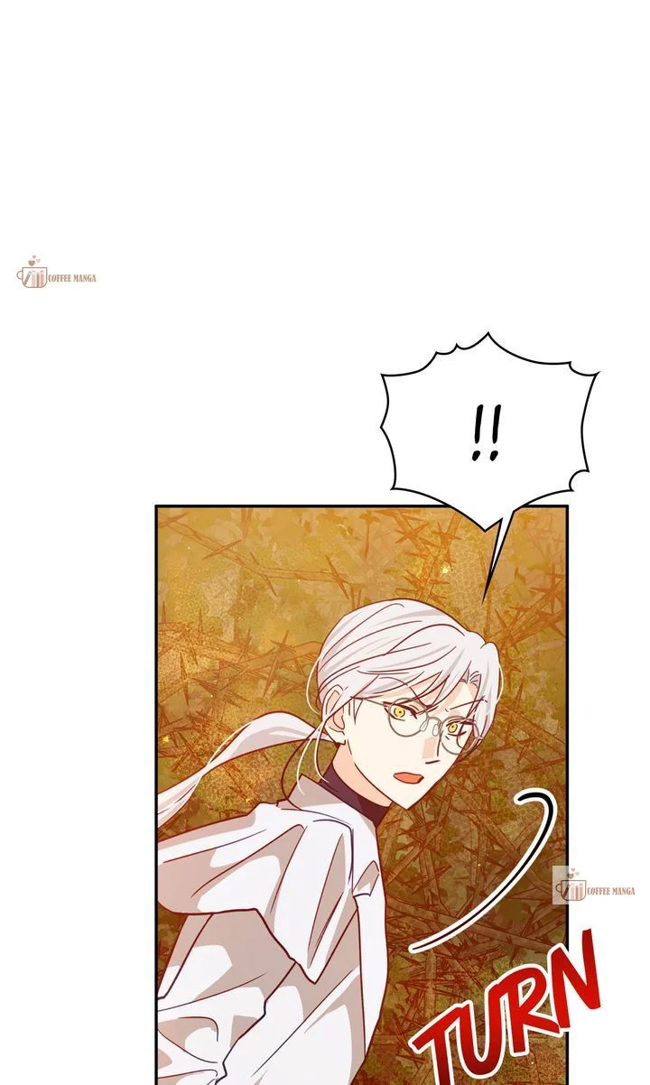 Terrarium Adventure Chapter 87 - page 67