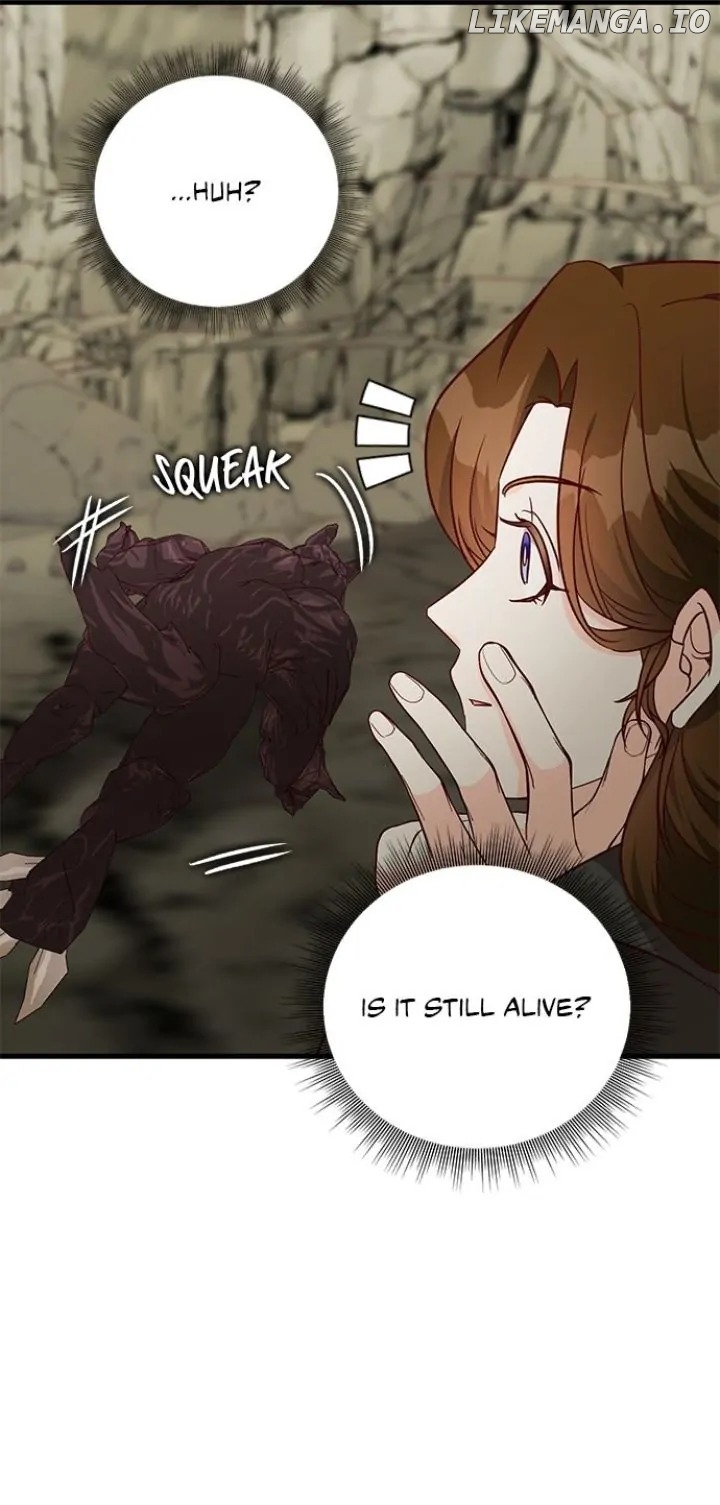 Her Ladyship's Double Life Chapter 68 - page 11