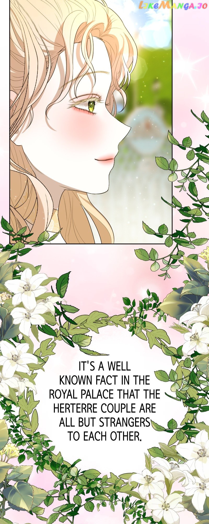 The Betrayed Queen is Devoted To By The Beautiful Baron Chapter 19 - page 42