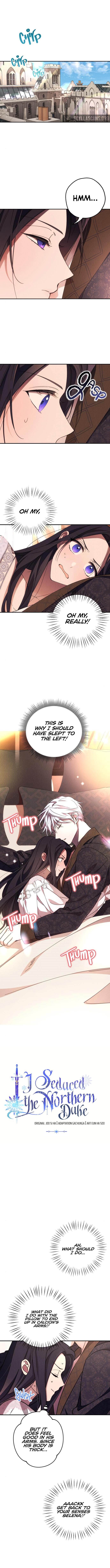I Will Seduce the Northern Duke Chapter 10 - page 2