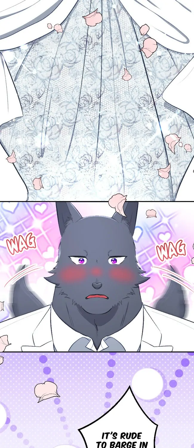 Sacrificed to Be the Beast King's Bride Chapter 42 - page 24