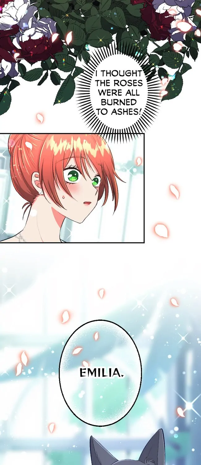 Sacrificed to Be the Beast King's Bride Chapter 42 - page 32