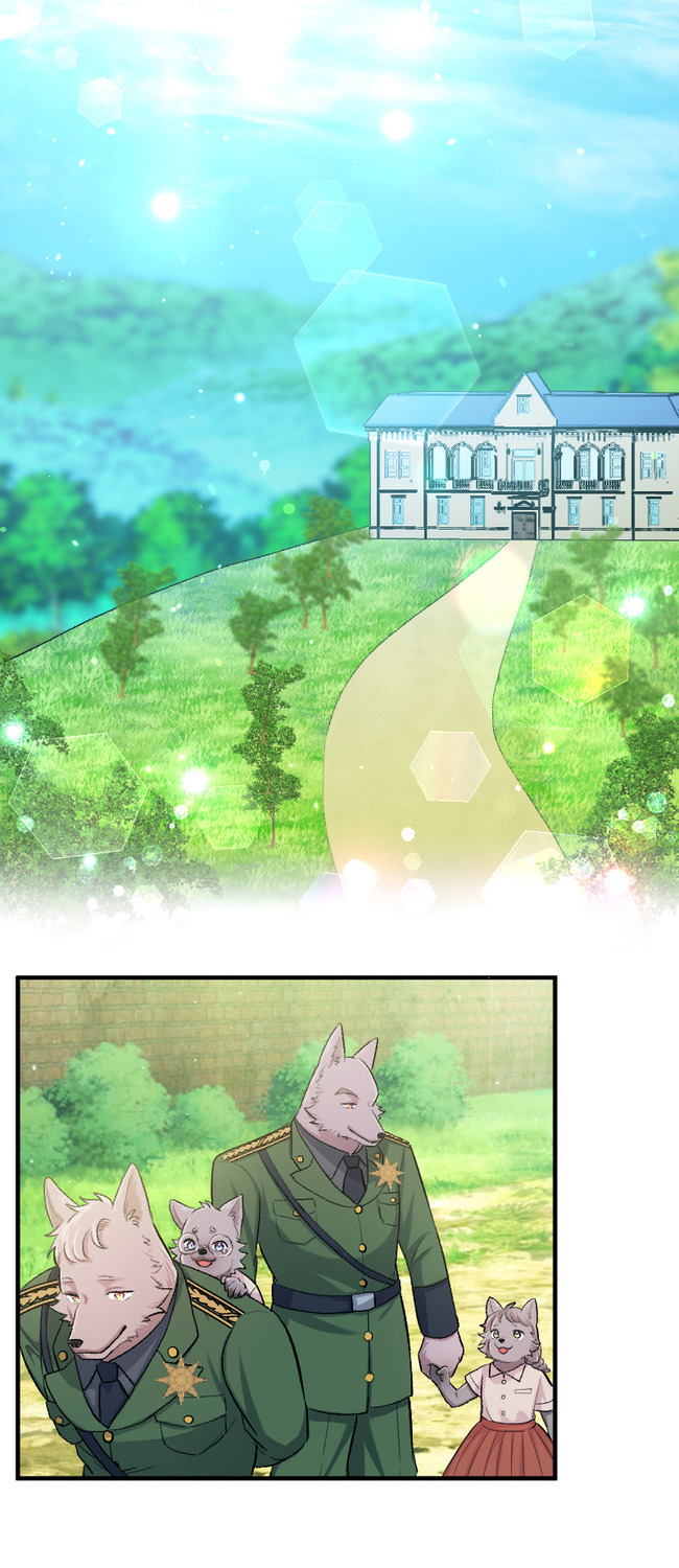 Sacrificed to Be the Beast King's Bride Chapter 17 - page 37