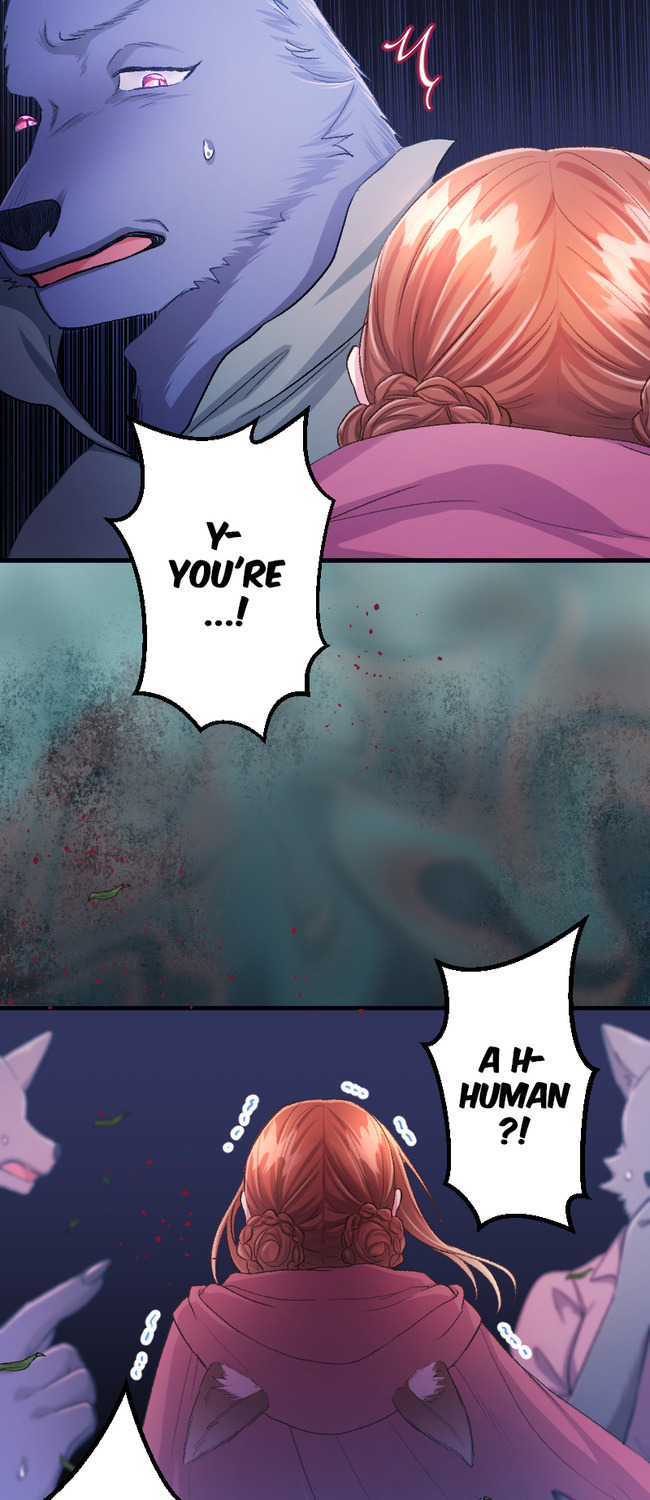 Sacrificed to Be the Beast King's Bride Chapter 13 - page 40