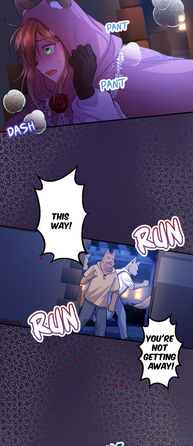 Sacrificed to Be the Beast King's Bride Chapter 13 - page 53