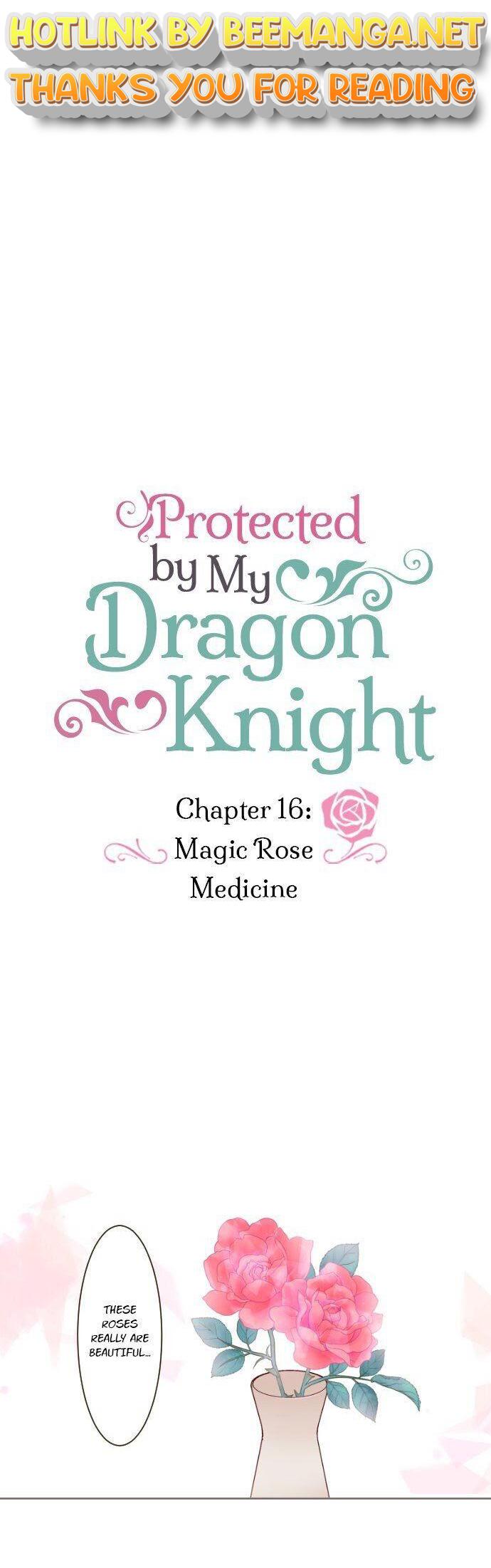 Protected by My Dragon Knight Chapter 16 - page 1