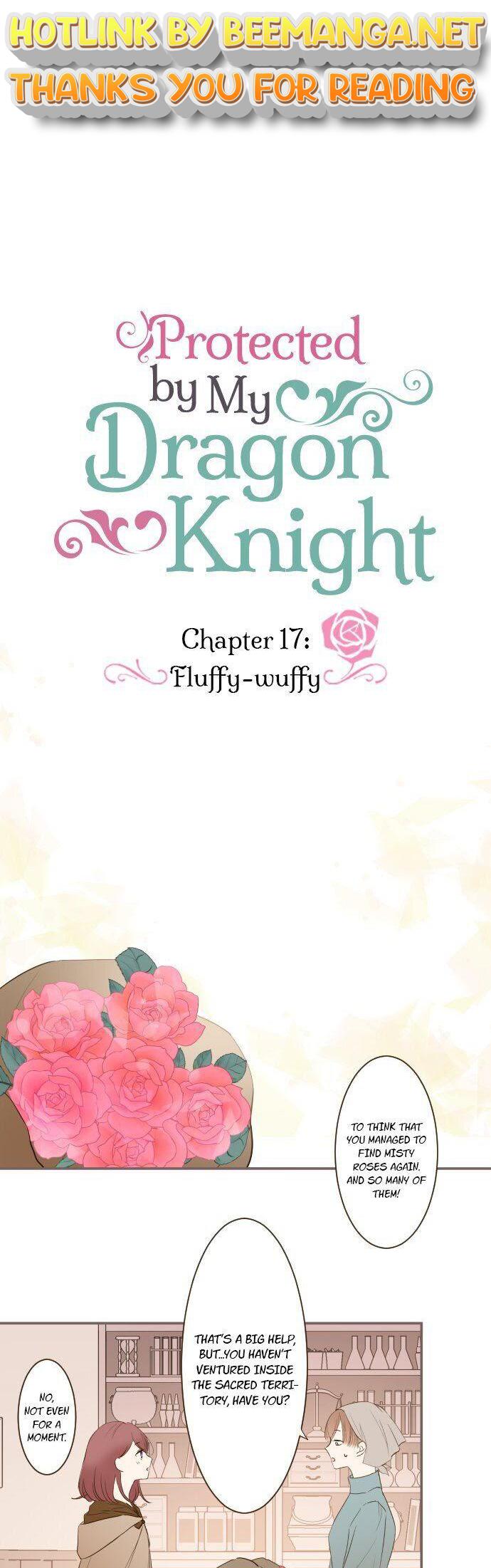 Protected by My Dragon Knight Chapter 17 - page 1