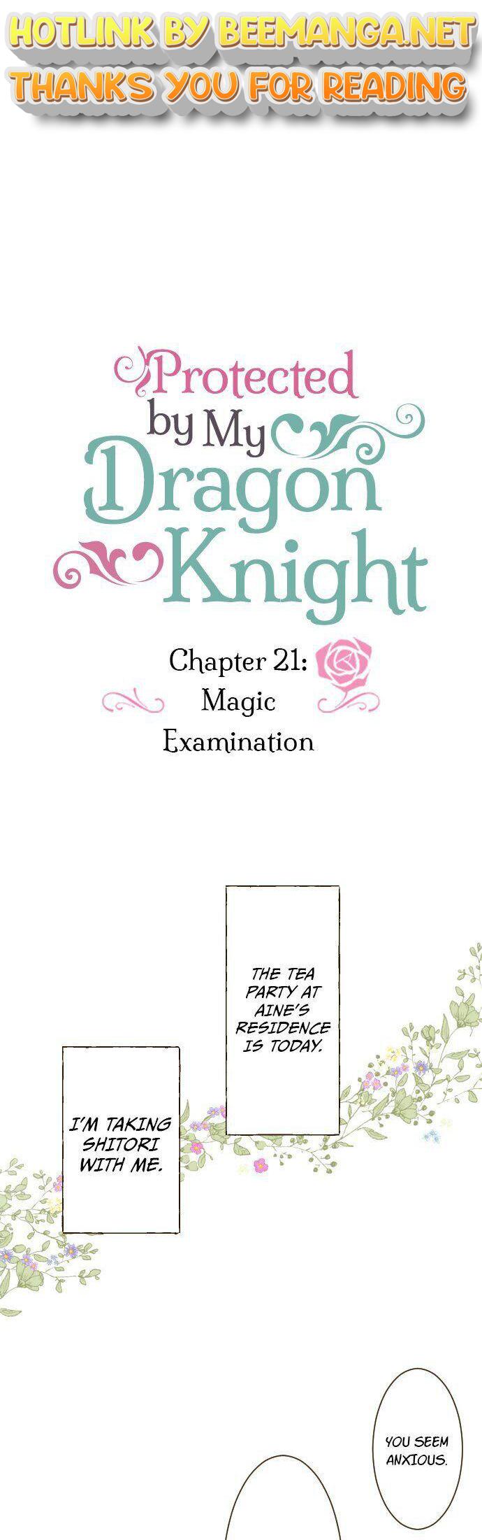 Protected by My Dragon Knight Chapter 21 - page 1