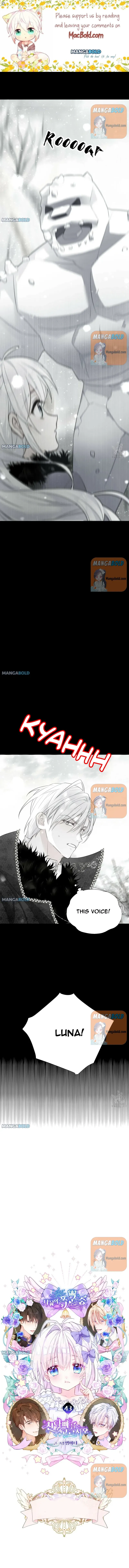 Choose Your Real Daddy Tyrant chapter 43 - page 1