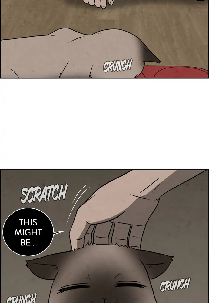 Dr. Hound Chapter 155 - page 61