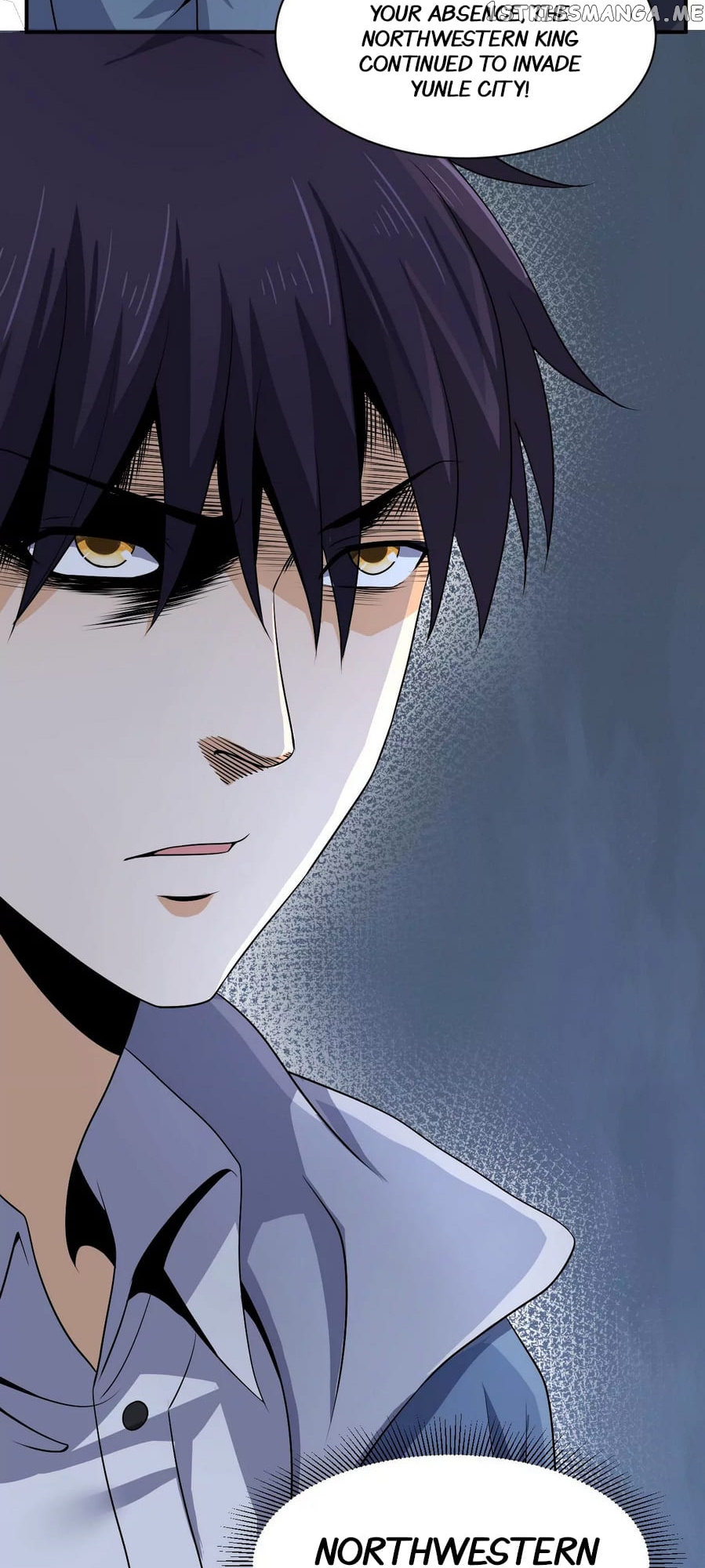 Rebirth Of The Urban Immortal Emperor chapter 89 - page 24