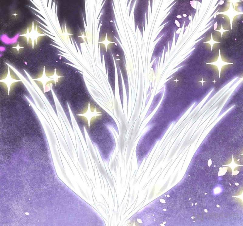 I Might Be A Fake Cultivator chapter 254 - page 6