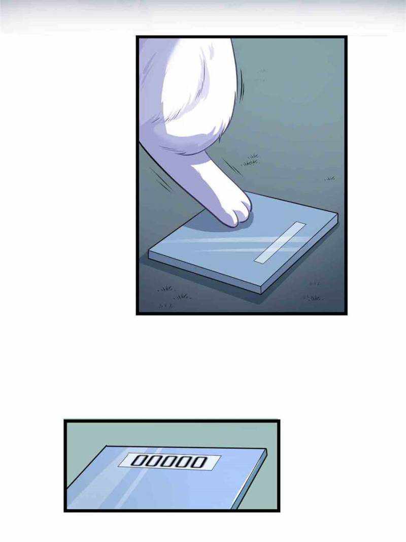 I Might Be A Fake Cultivator chapter 236 - page 22