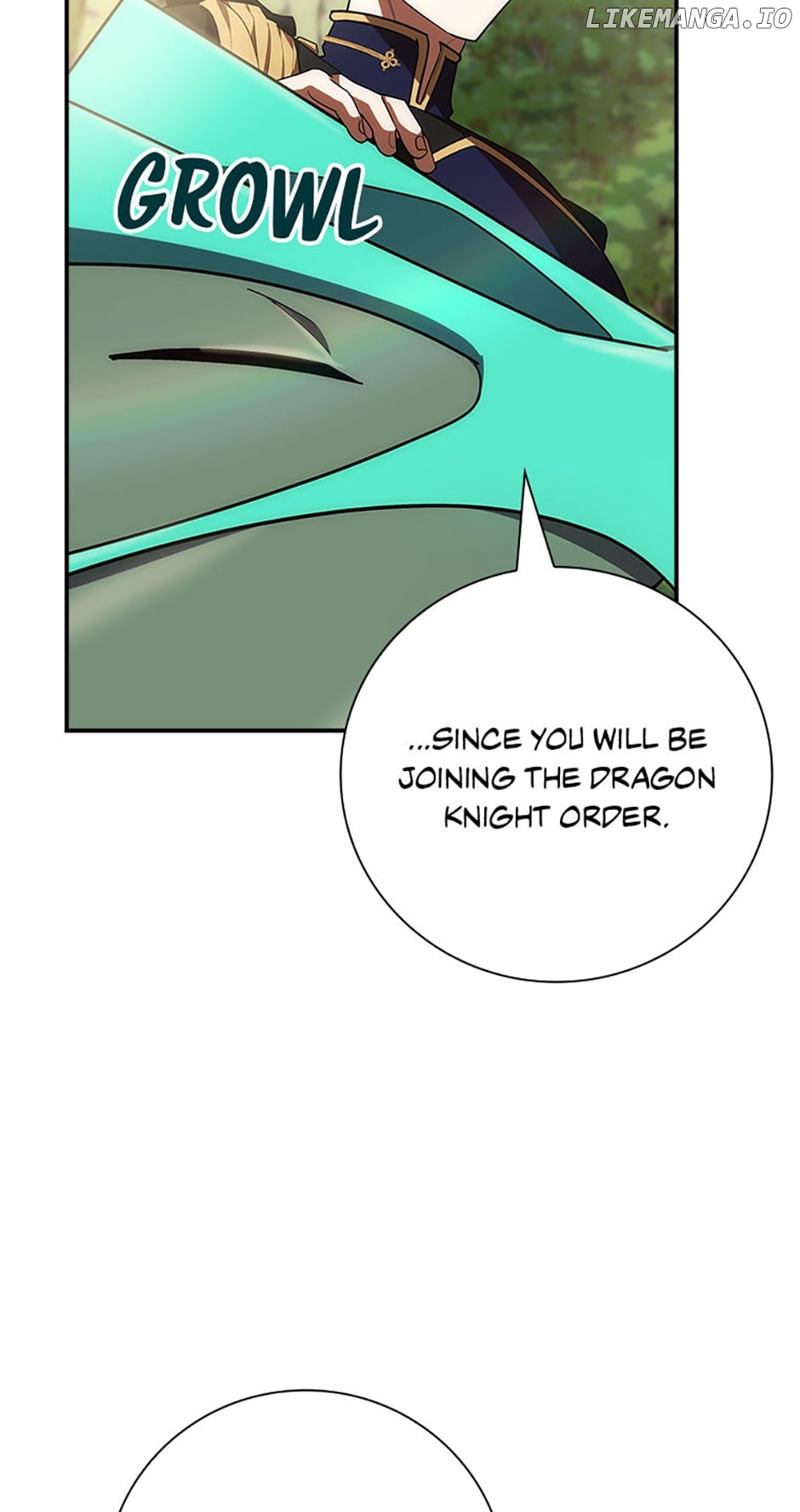 The Guardian Dragon and the Fake Princess Chapter 14 - page 28