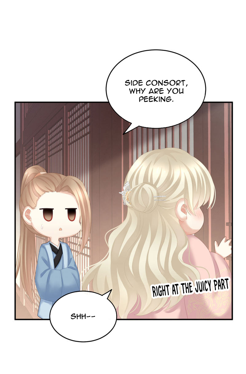 Empress’s Harem chapter 138 - page 25