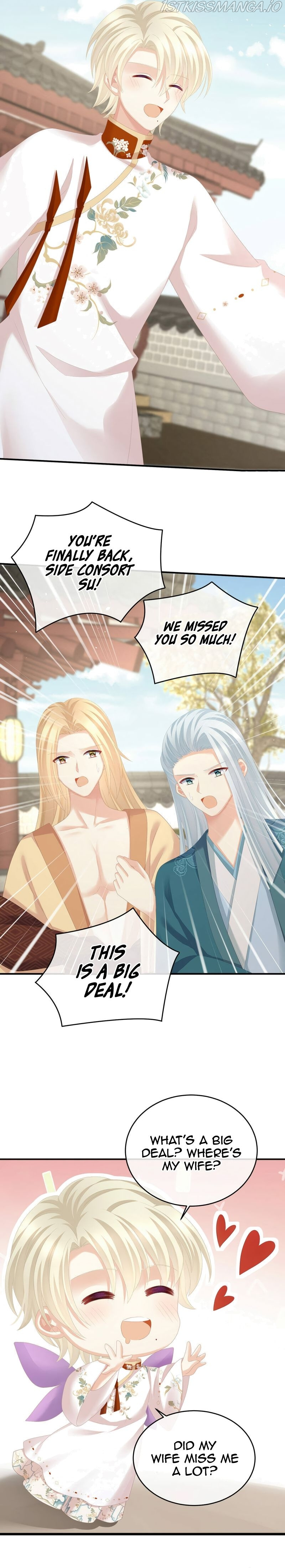 Empress’s Harem chapter 285 - page 14