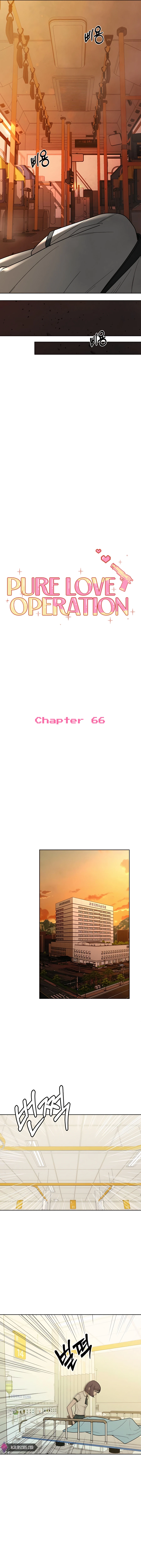 Pure Love Operation Chapter 66 - page 8