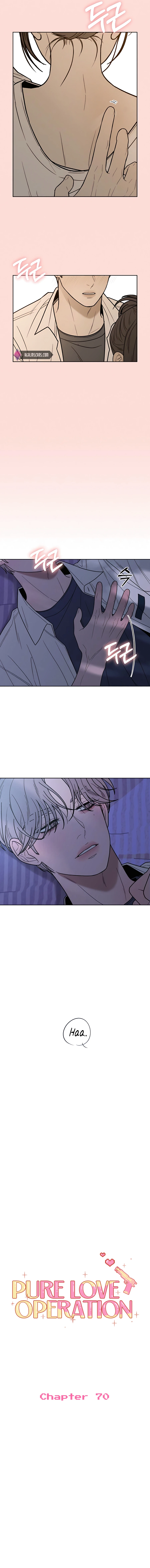 Pure Love Operation Chapter 70 - page 5