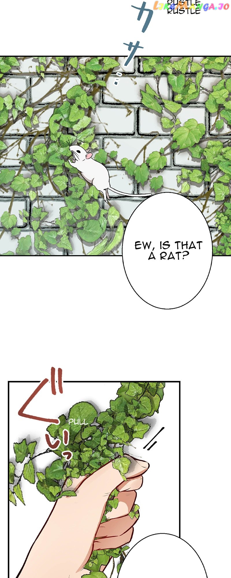 Midnight Cinderella Ikemen Royal Romance ~ The Royal Knight ~ Chapter 1 - page 18