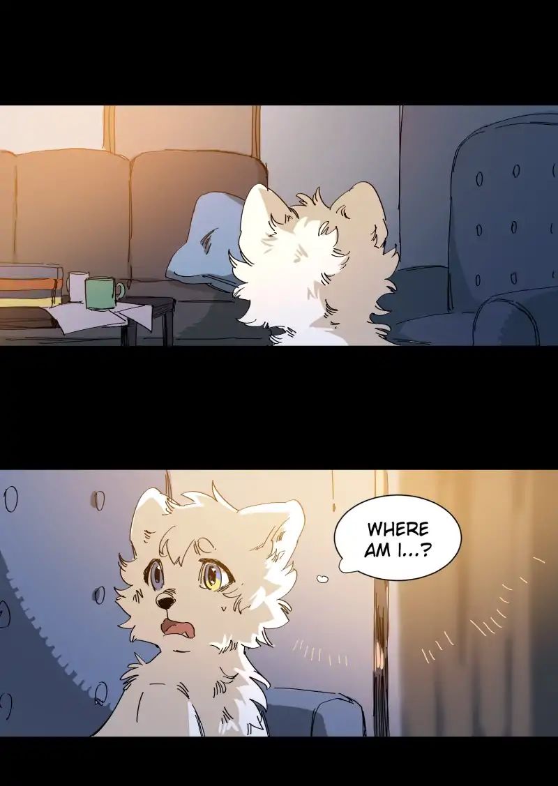 LUMINE – Manhwa chapter 68 - page 15